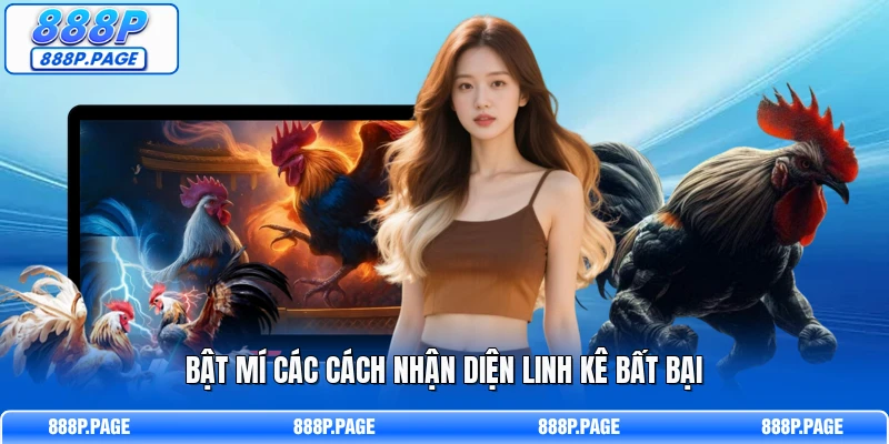 Bật mí các cách nhận diện linh kê bất bại