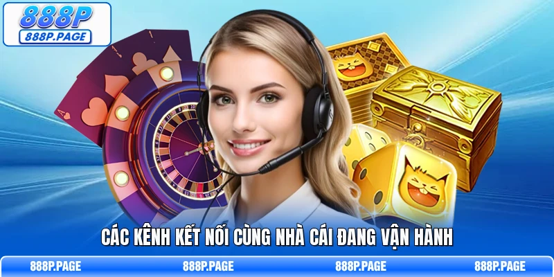 Các kênh kết nối cùng nhà cái đang vận hành
