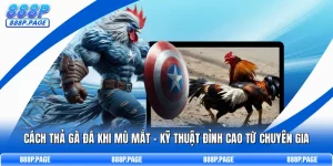 Cách Thả Gà Đá Khi Mù Mắt