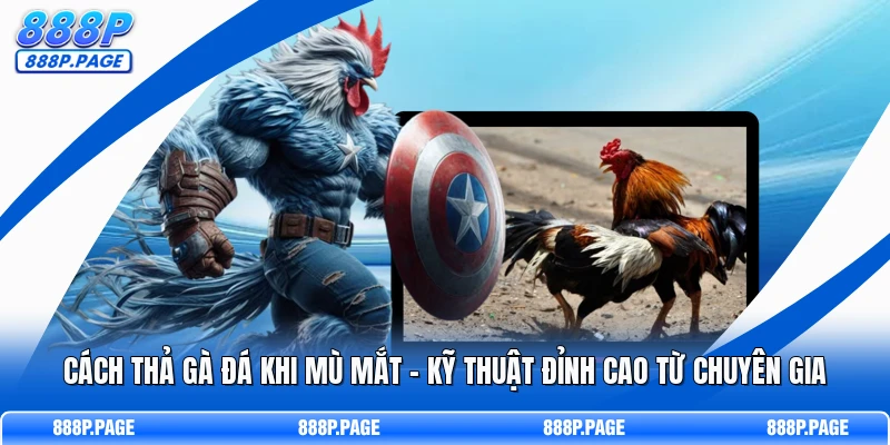 Cách Thả Gà Đá Khi Mù Mắt
