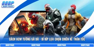 Cách Xem Tướng Gà Đá