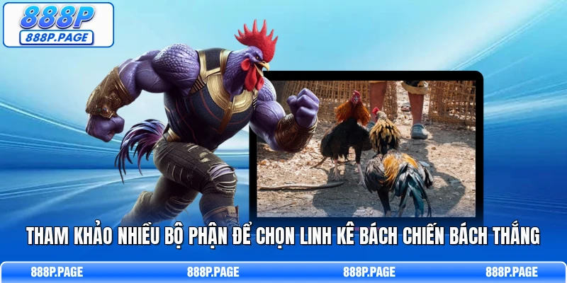 Tham khảo nhiều bộ phận để chọn linh kê bách chiến bách thắng